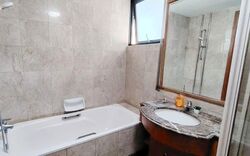 Tanglin View (D3), Condominium #547691201